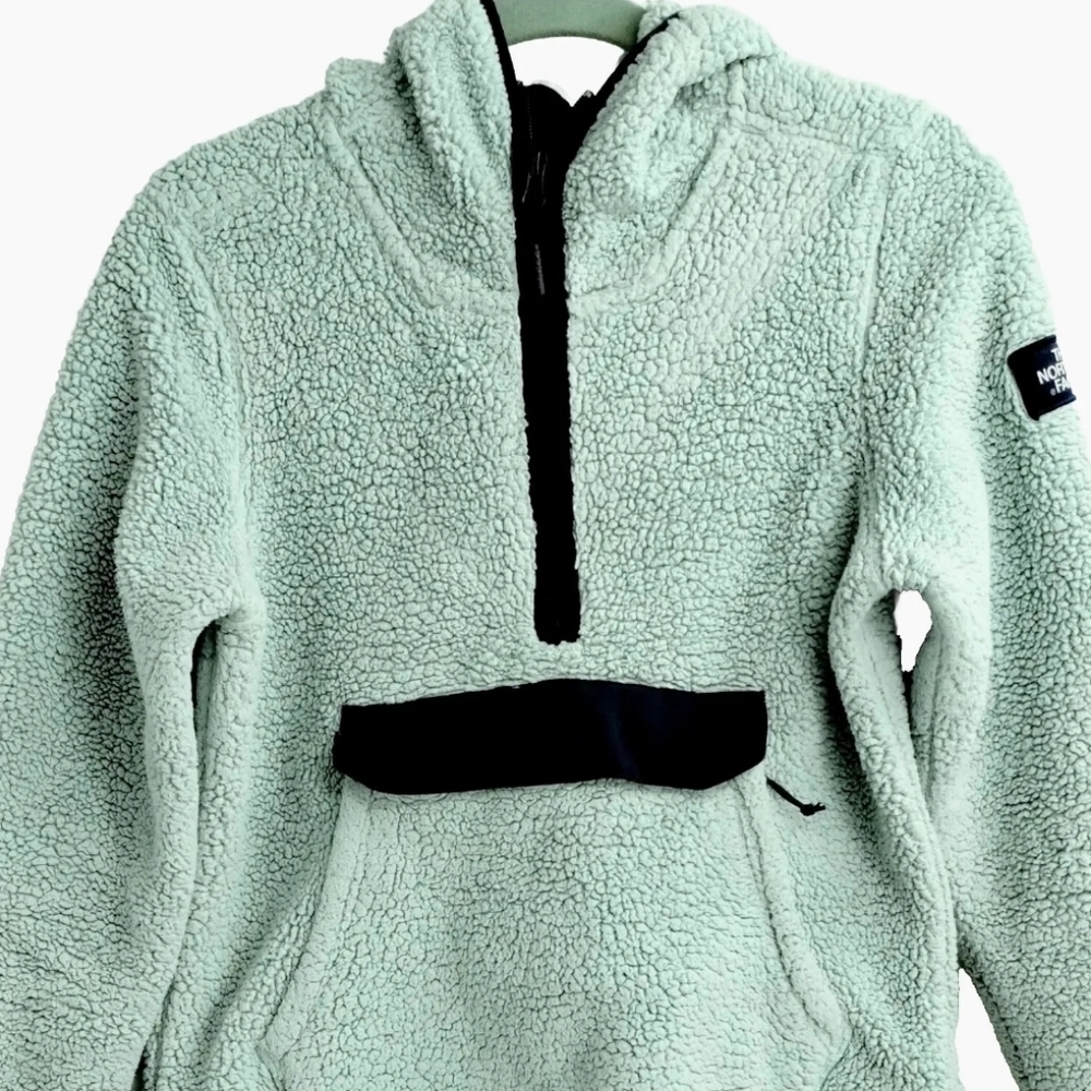 The North‎ Face Campshire Pullover Fleece Blue Hoodie - Picture 5 of 13